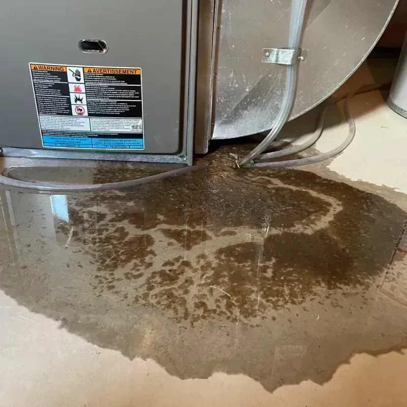 Appliance Leak Cleanup in Cameron Park, CA